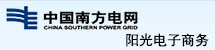 中国南方【九州体育】中国有限公司官网-阳光电子商务